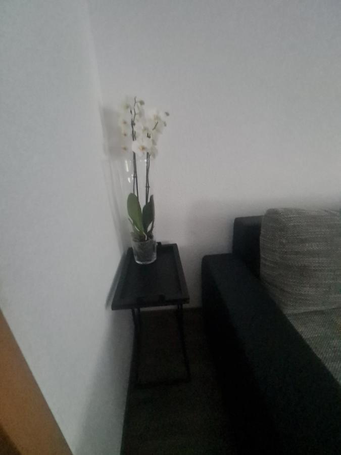 Paula Haus Trier 아파트 외부 사진